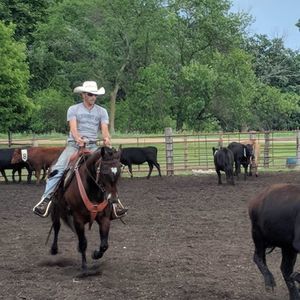 Meet your Posher, Jake